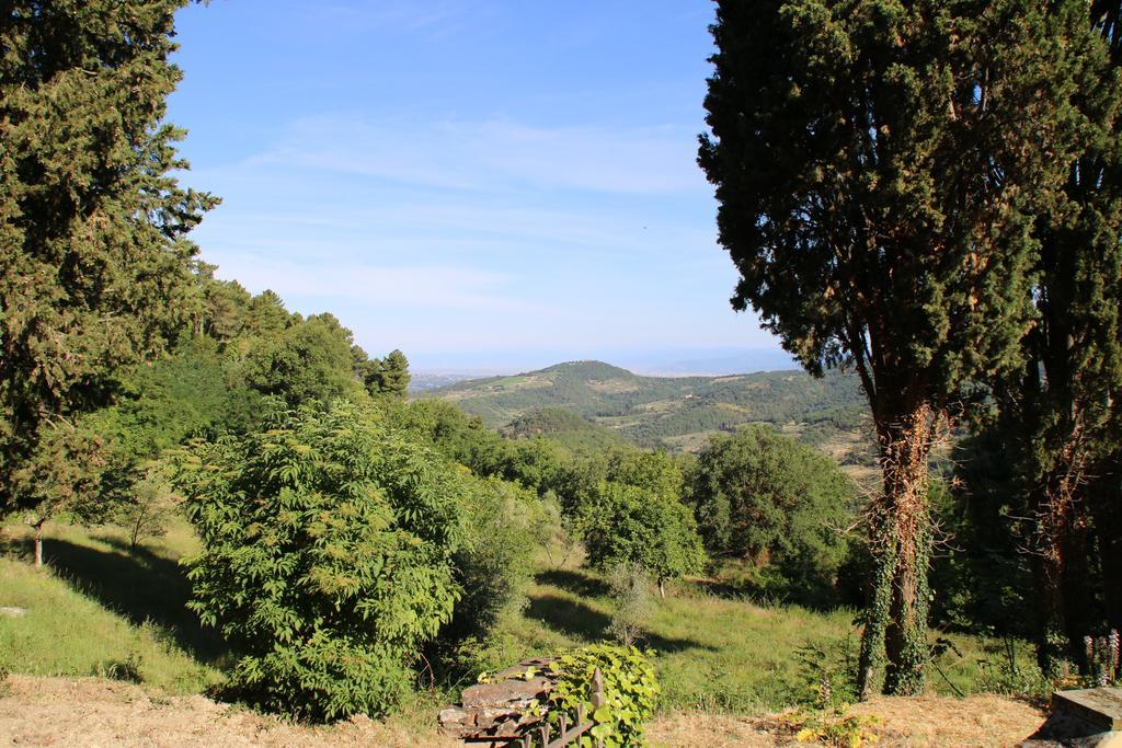 Tenuta La Novella Apartment Poggio Alla Croce Exterior foto